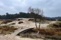 BSG-Driebrgen_Maarn_11dec22_Niek_010