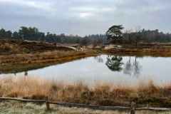 BSG-Driebrgen_Maarn_11dec22_Niek_012