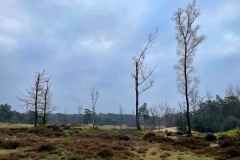 BSG-Driebrgen_Maarn_11dec22_Niek_017