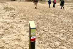 BSG-Driebrgen_Maarn_11dec22_Niek_020