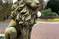 BSG-Driebrgen_Maarn_11dec22_Niek_024