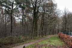 BSG-Driebrgen_Maarn_11dec22_Niek_025