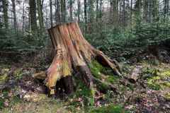 BSG-Driebrgen_Maarn_11dec22_Niek_036