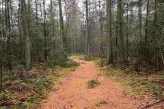 BSG-Driebrgen_Maarn_11dec22_Niek_038