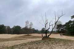 BSG-Driebrgen_Maarn_11dec22_Niek_040