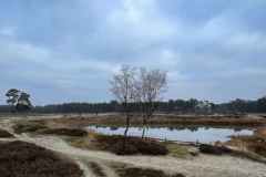 BSG-Driebrgen_Maarn_11dec22_Niek_09