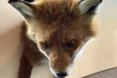 BSG_-Oostvoorne_Niek_-10mrt24_02