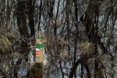 BSG_-Oostvoorne_Niek_-10mrt24_024