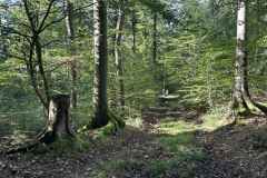 BSG-Eifel-weekend-28_29-sept24_2701