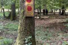 BSG-Eifel-weekend-28_29-sept24_3001