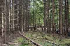 BSG-Eifel-weekend-28_29-sept24_3101