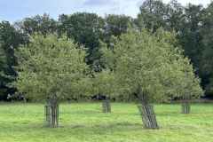 BSG-Eifel-weekend-28_29-sept24_3301