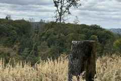 BSG-Eifel-weekend-28_29-sept24_3501