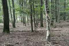 BSG-Eifel-weekend-28_29-sept24_3601