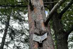 BSG-Eifel-weekend-28_29-sept24_501