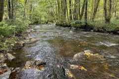 BSG-wandeling-Monschau-sept-2025_171