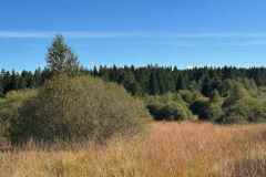 BSG-wandeling-Monschau-sept-2025_601