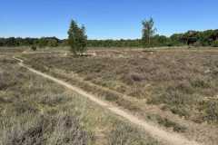 BSG-wandeling-Bussum_Ziuid-11-meil-25_10