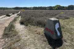 BSG-wandeling-Bussum_Ziuid-11-meil-25_110