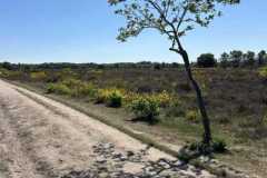 BSG-wandeling-Bussum_Ziuid-11-meil-25_120