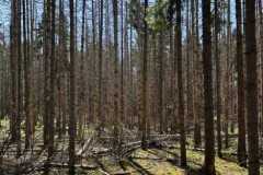 BSG-wandeling-Bussum_Ziuid-11-meil-25_40