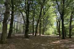 BSG-wandeling-Bussum_Ziuid-11-meil-25_60