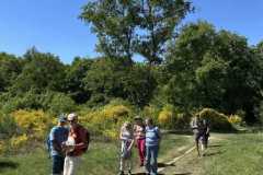 BSG-wandeling-Bussum_Ziuid-11-meil-25_70