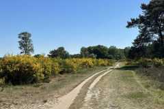 BSG-wandeling-Bussum_Ziuid-11-meil-25_80