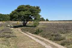 BSG-wandeling-Bussum_Ziuid-11-meil-25_90