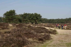 BSG wandeling Leersum 2019_21