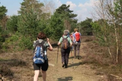 BSG wandeling Leersum 2019_37