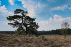 BSG wandeling Leersum 2019_38