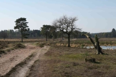 BSG wandeling Leersum 2019_9