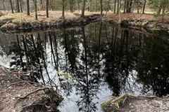 BSG-wandeling-Baarn-9-feb-20251501