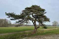 BSG-wandeling-Baarn-9-feb-20251601