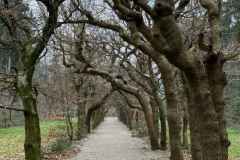 BSG-wandeling-Baarn-9-feb-2025501