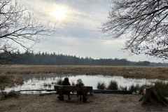 BSG-wandeling-Baarn-9-feb-2025801