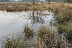 BSG-wandeling-Baarn-9-feb-2025901