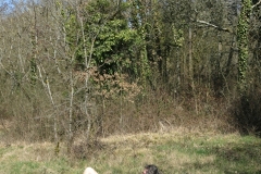 BSG Bivak Hastiere mrt18-034