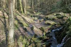 BSG Bivak Hastiere mrt18-047