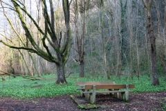 BSG Bivak Hastiere mrt18-050