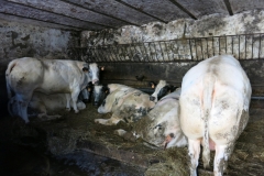 BSG Bivak Hastiere mrt18-079