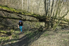 BSG Bivak Hastiere mrt18-092