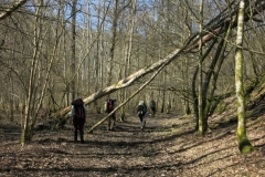 BSG Bivak Hastiere mrt18-096