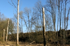 BSG Bivak Hastiere mrt18-125