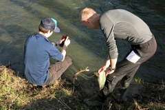 BSG Bivak Hastiere mrt18-127