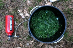 BSG Bivak Hastiere mrt18-153