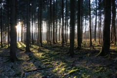 BSG Bivak Hastiere mrt18-154