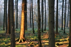 BSG Bivak Hastiere mrt18-155