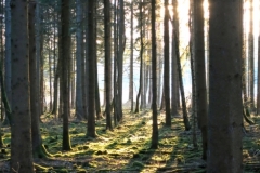 BSG Bivak Hastiere mrt18-156